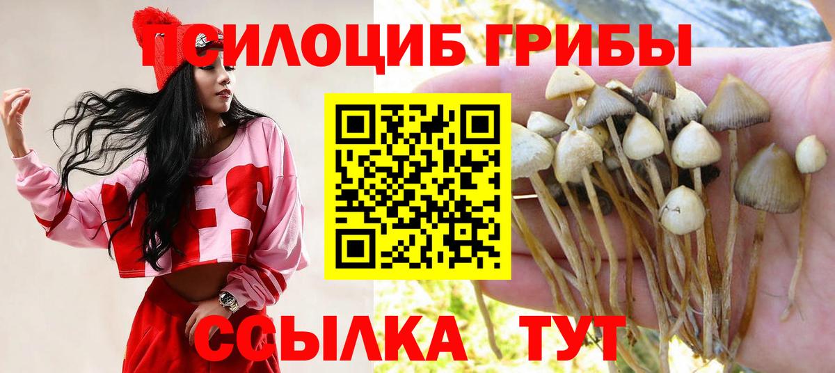 Галлюциногенные грибы Magic Shrooms Янаул